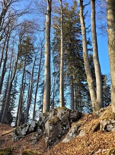 Photo de Juliane Jarke le long du parcours