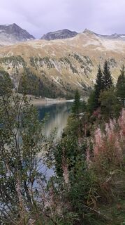 Foto da Krachr lungo il tour