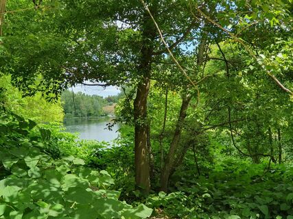 Fotó a Lylia Gerard honlapról a túra során
