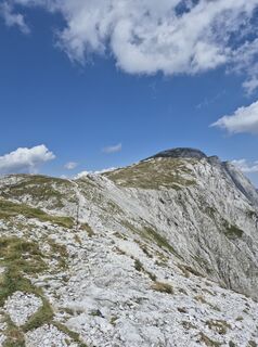 Photo de Lupusmotus le long du parcours