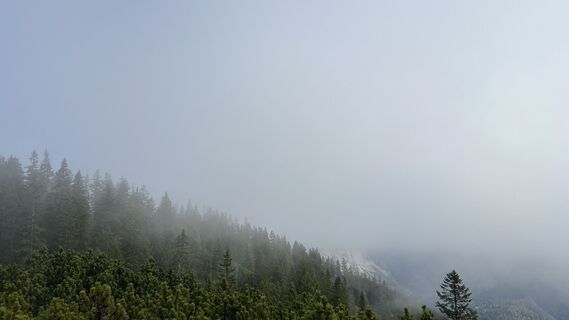 Photo de Alexander Salem le long du parcours