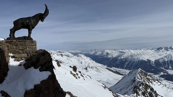 Fotografija s spletne strani Rodrigo Martino na poti