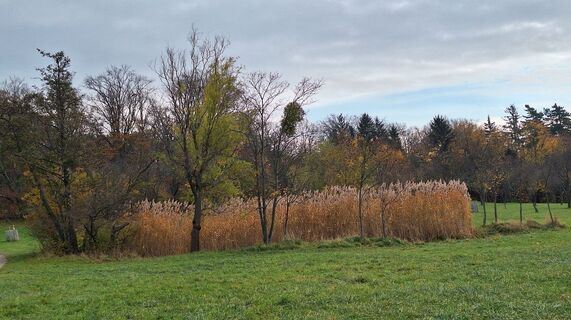 Foto von Regina Fleischmann entlang der Tour