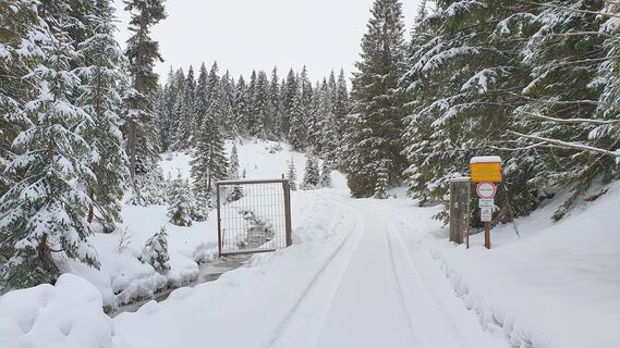 0.4 km Gatter