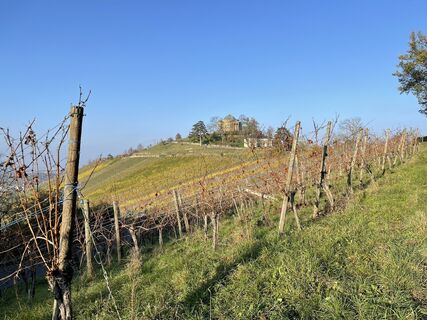 Fotografija s spletne strani holgerwag na poti