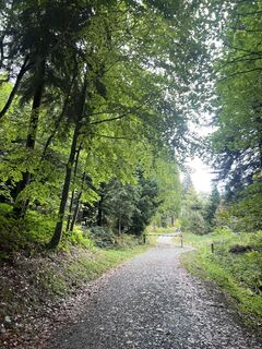Foto de Maria Metzler a lo largo del recorrido