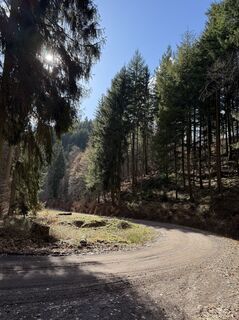 Foto von Benedikt Pracht entlang der Tour