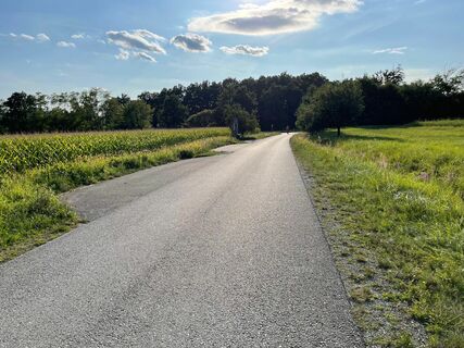 Parkbuchten, Start