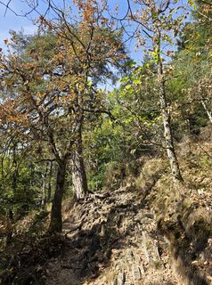 Photo de Noreen (NoKe) le long du parcours