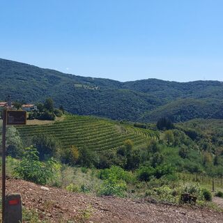 Via delle antiche Pievi di Prepotto