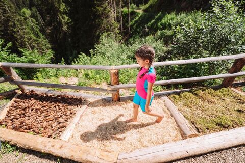 Der Zerstreute Hirte