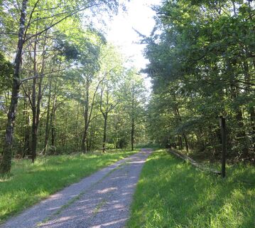 Allee der Bäume des Jahres2(C) Gemeinde Reichartshausen