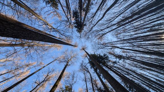 Fotografie z Klaus Lehner na trase