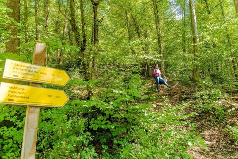 Waldwege Plabutsch