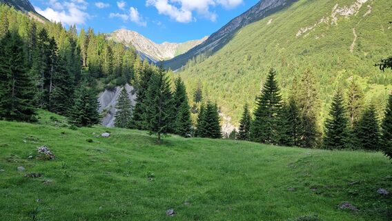 Kleine Wiese kurz vor dem Abzweig des Aufstiegweges