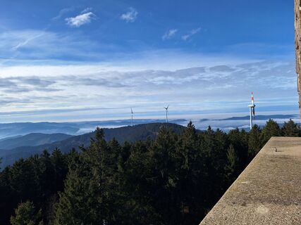 Foto von Katharina entlang der Tour