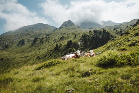 Sommer_Wandern_Kelchsau@Pflanzl Media - Maximilian Pflanzl (7).jpg