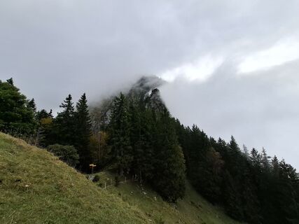 Zdjęcie z Maurer Silvia wzdłuż trasy