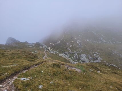 Fotografia z schenkeli na trase