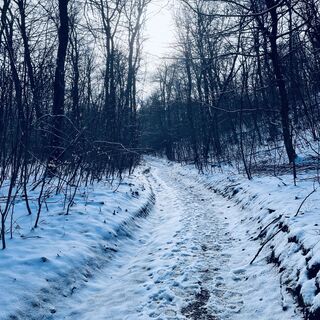 Foto de Bacskai János a lo largo del recorrido