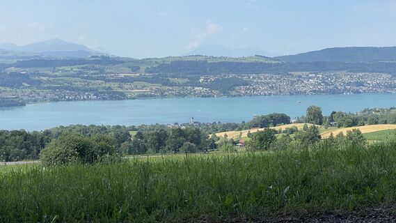 Foto från Peter Burki under resans gång