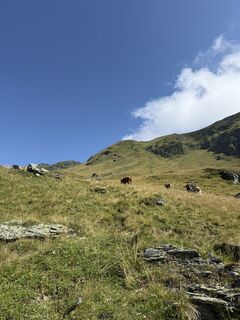 Foto von Sarah Dürr entlang der Tour