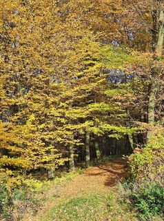 Photo de Mimi le long du parcours