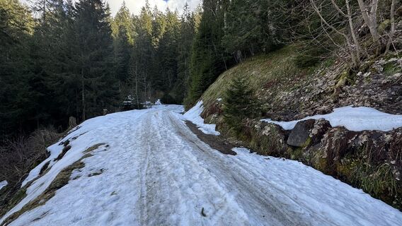 Foto da peter_oe lungo il tour