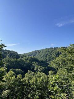 Foto von Csenger Reichardt entlang der Tour