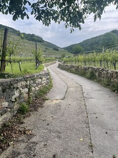 Fotografia z Markus Gruber na trase