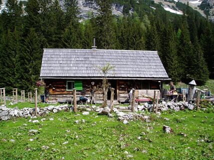 Sulzkaralm im Sommer