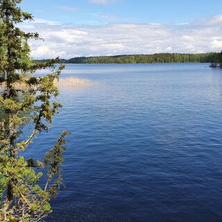 Pöyhiänniemen Naturpfad