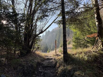 Fotografia z Natur_erleben_dg na trase