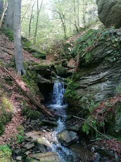 Fotografie z Dagmar Hofer na trase