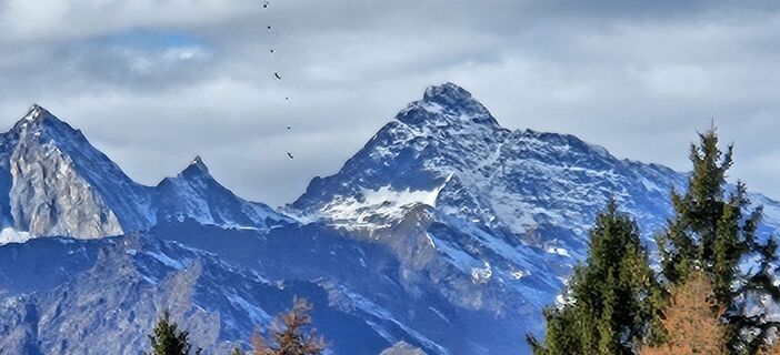 Fotografija s spletne strani Roswitha Polz na poti