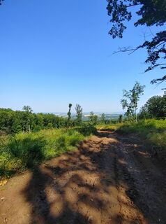 Fotografija s spletne strani Edit Szabó 3 na poti