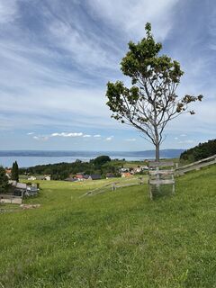 Photo de Cyrill Bischof le long du parcours