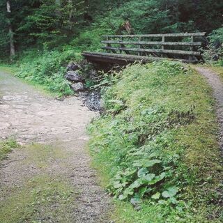 Wildenbachschlucht