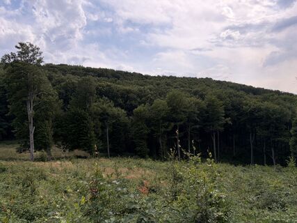 Foto von Máté Ádám Schultheisz entlang der Tour