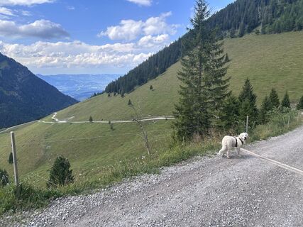 Foto von Bene Schadel entlang der Tour