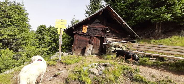 Foto von Markus Raaß entlang der Tour