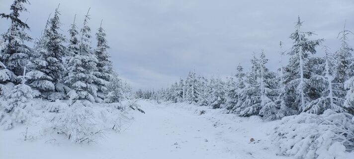 Foto de Sylwiasuchy76 a lo largo del recorrido