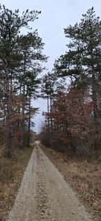 Foto von Davor  Umag City Croatia.?? entlang der Tour