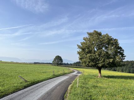 Photo from Heinz Sperl along the tour