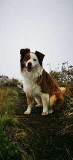 Foto von Klaus Lehner entlang der Tour