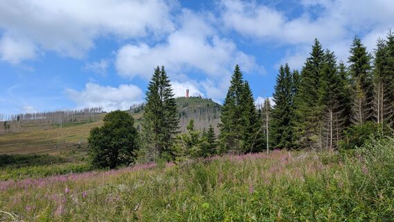 Foto de Chris gST a lo largo del recorrido