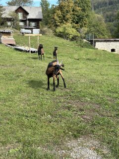 Foto von Anna Erker entlang der Tour