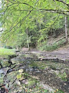 Fotografie z Kirill Golovin na trase