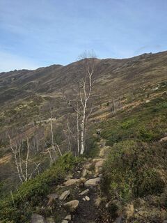 Foto de Erika Diemer a lo largo del recorrido