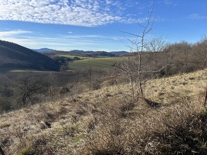 Foto von Car Wanderfreude entlang der Tour
